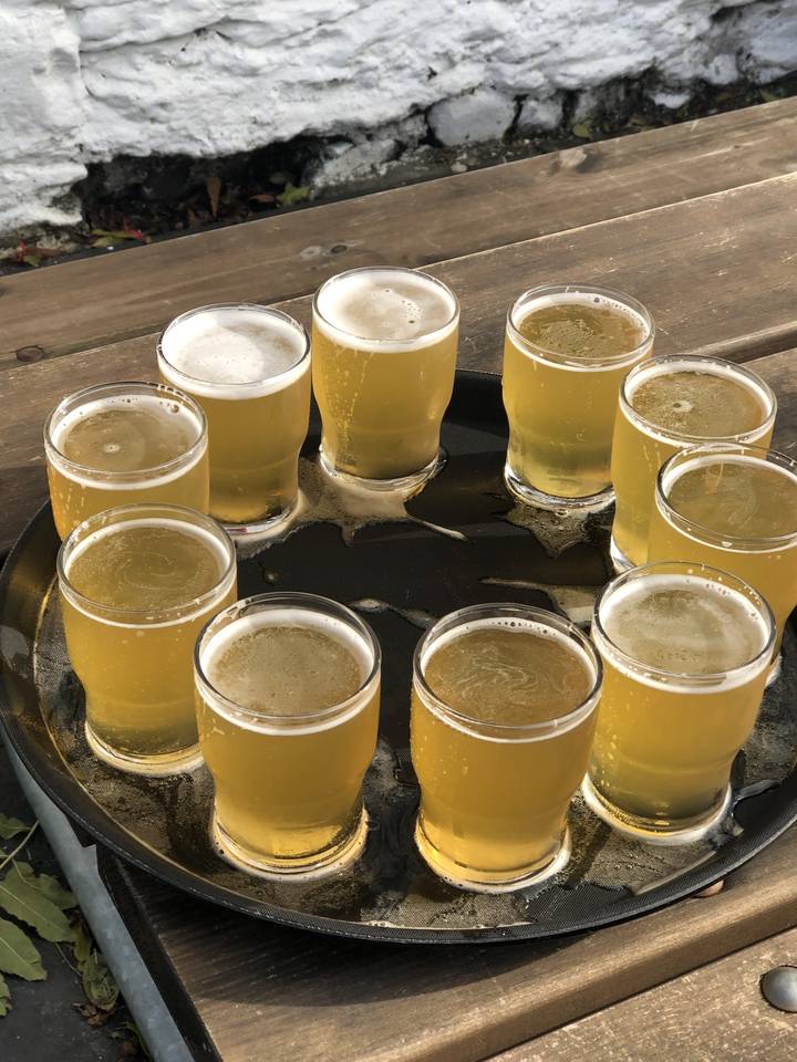 Plateau de neuf petits verres de bière.