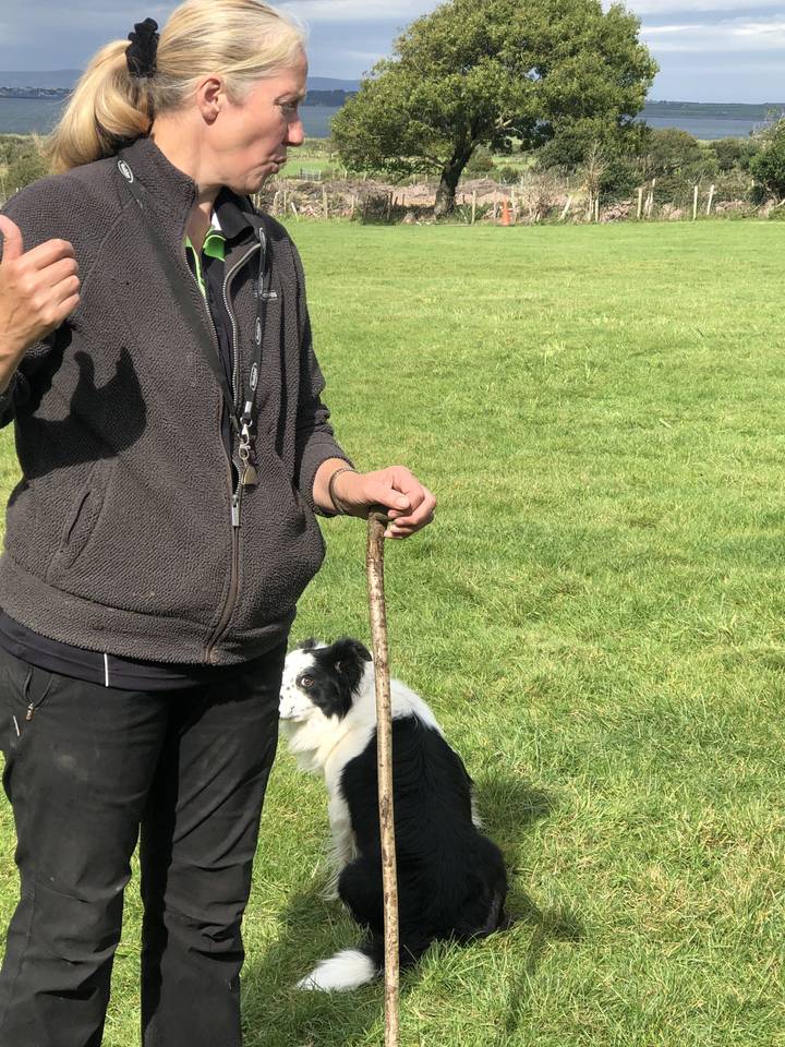Femme jouant avec un chien dans un champ.