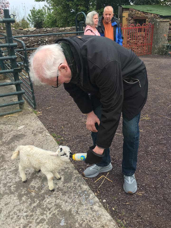 Personne nourrissant un agneau avec un biberon.