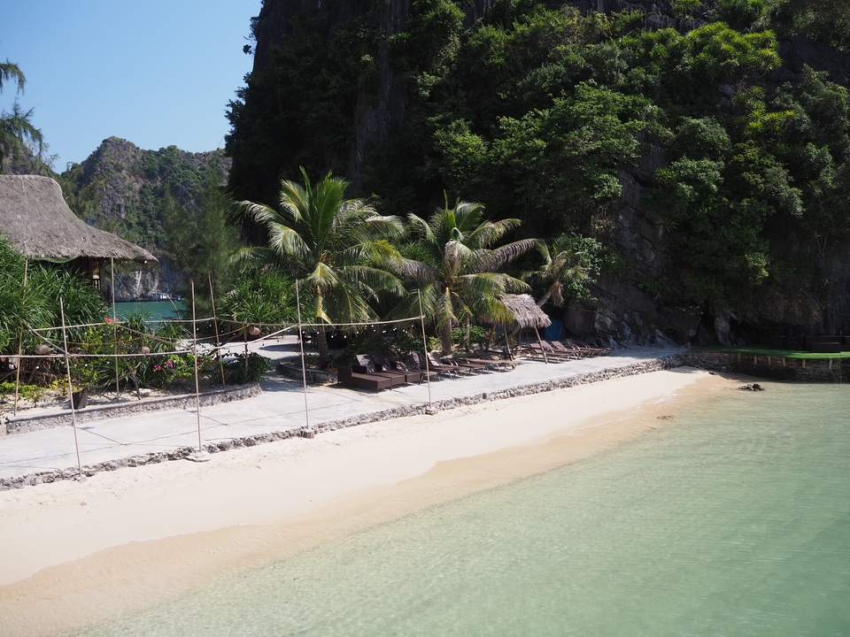 Beachfront with lounge chairs and tropical palms.