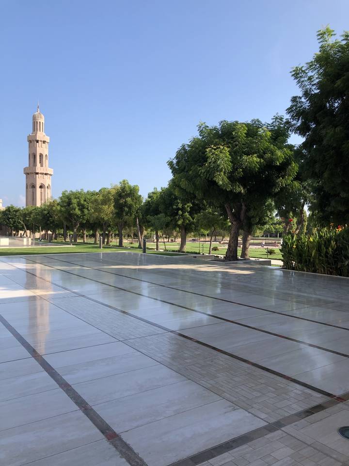 Trees and paved pathway in a landscaped area.