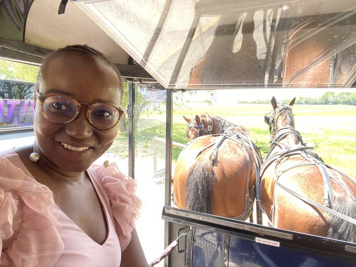 Personne assise dans une calèche.