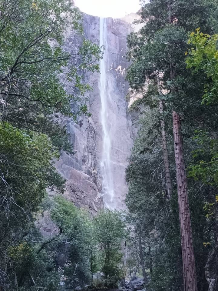 Une cascade qui dévale une falaise rocheuse entourée d'arbres.