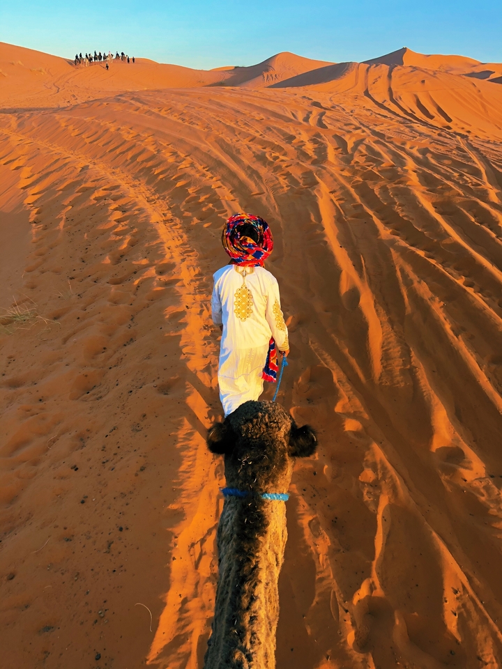 Person dressed in traditional attire with camel in the desert.