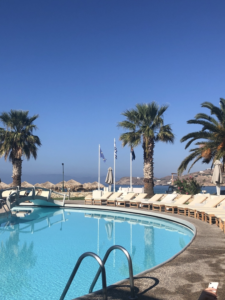 Beach scene with palm trees and lounge chairs.