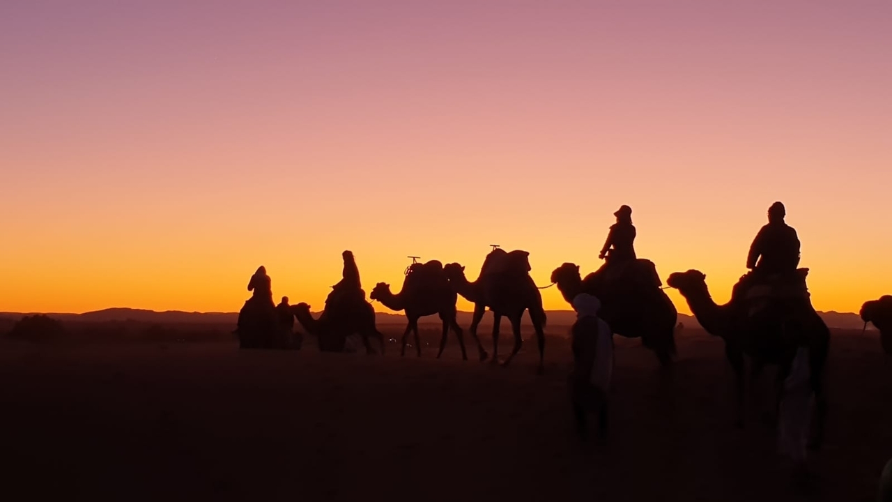 Silhouette of camels and people at sunset in a desert