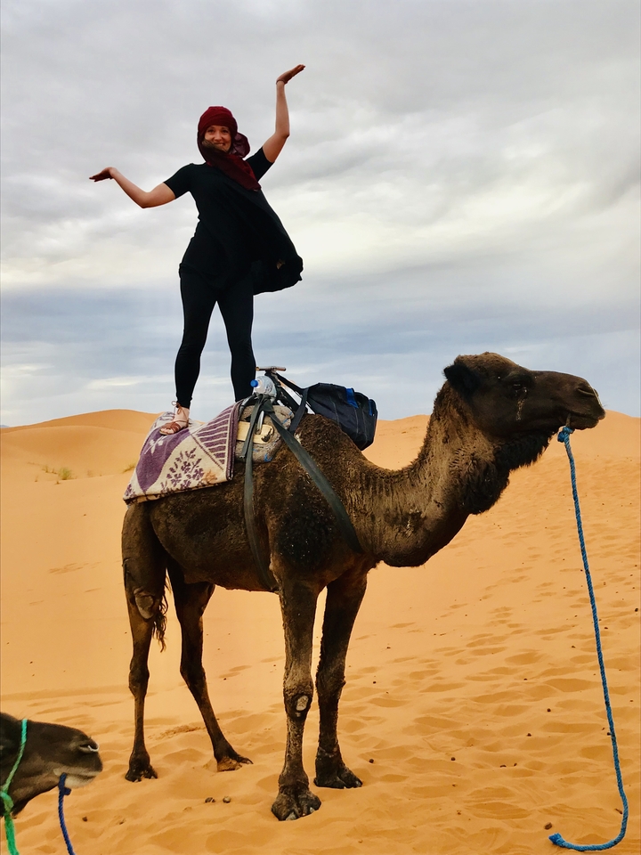 A person standing on a camel in the desert.