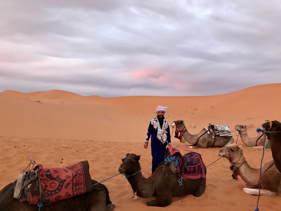 A man leading camels in a desert at dusk.