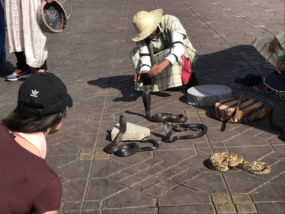 Snake charmers performing in a public square.