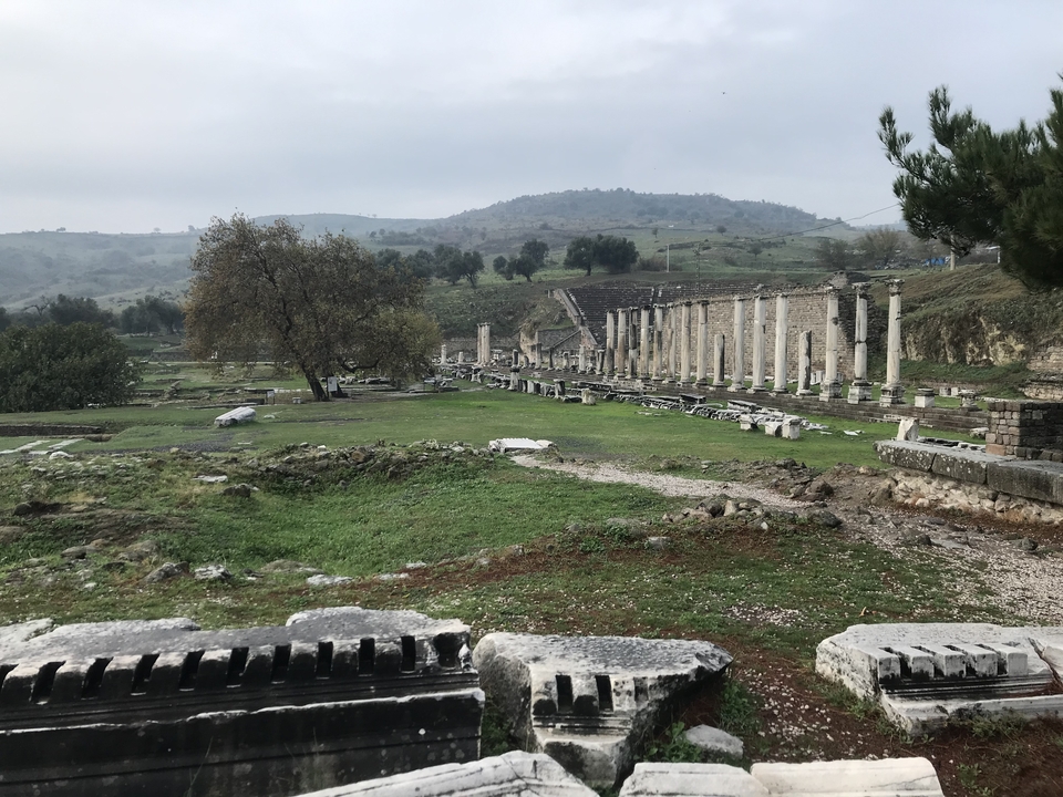 Ruins with columns in a grassy landscape.
