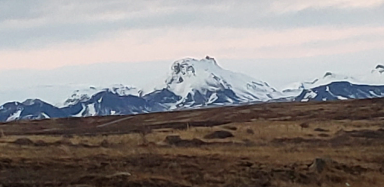 Snow-covered mountains with a blurry foreground.
