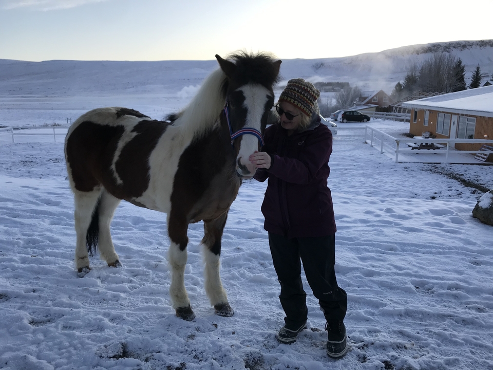 Woman petting a horse in a snowy landscape.