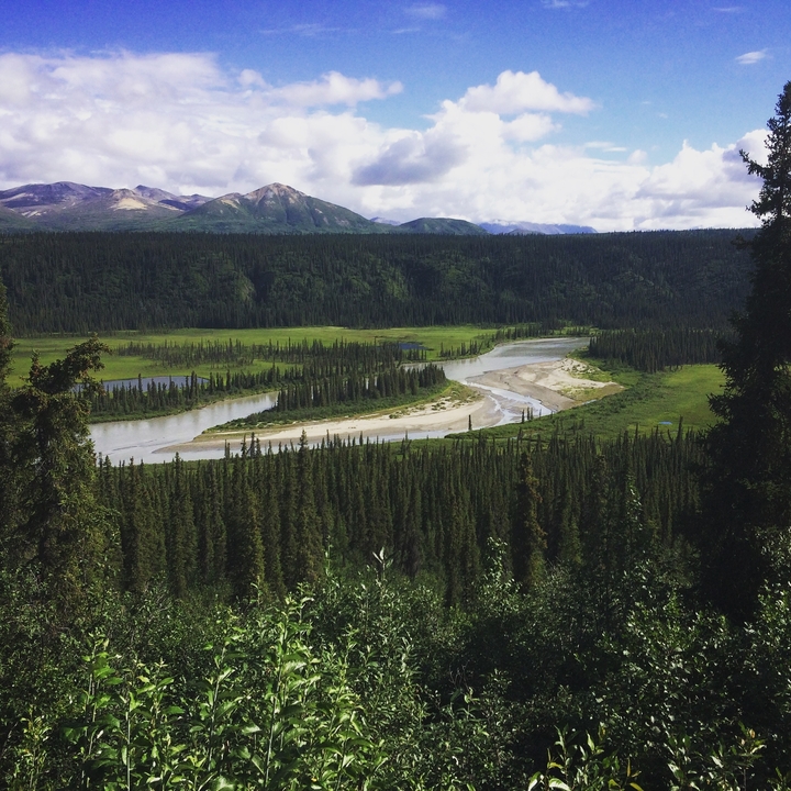 A winding river through green forested landscape with mountains.