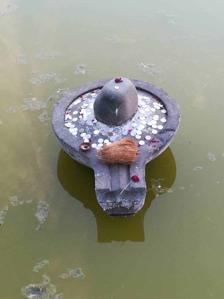 Stone idol in a pond adorned with coins and offerings.