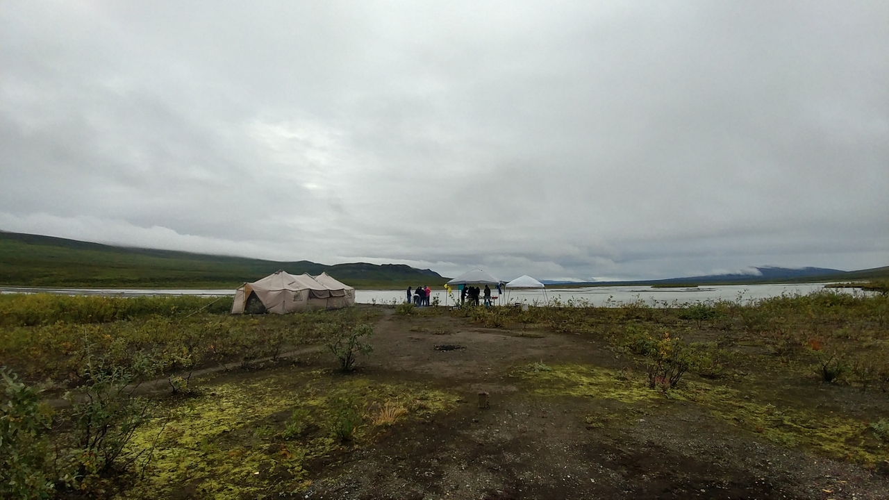 Wide shot of a campsite near a waterbody under an overcast sky.