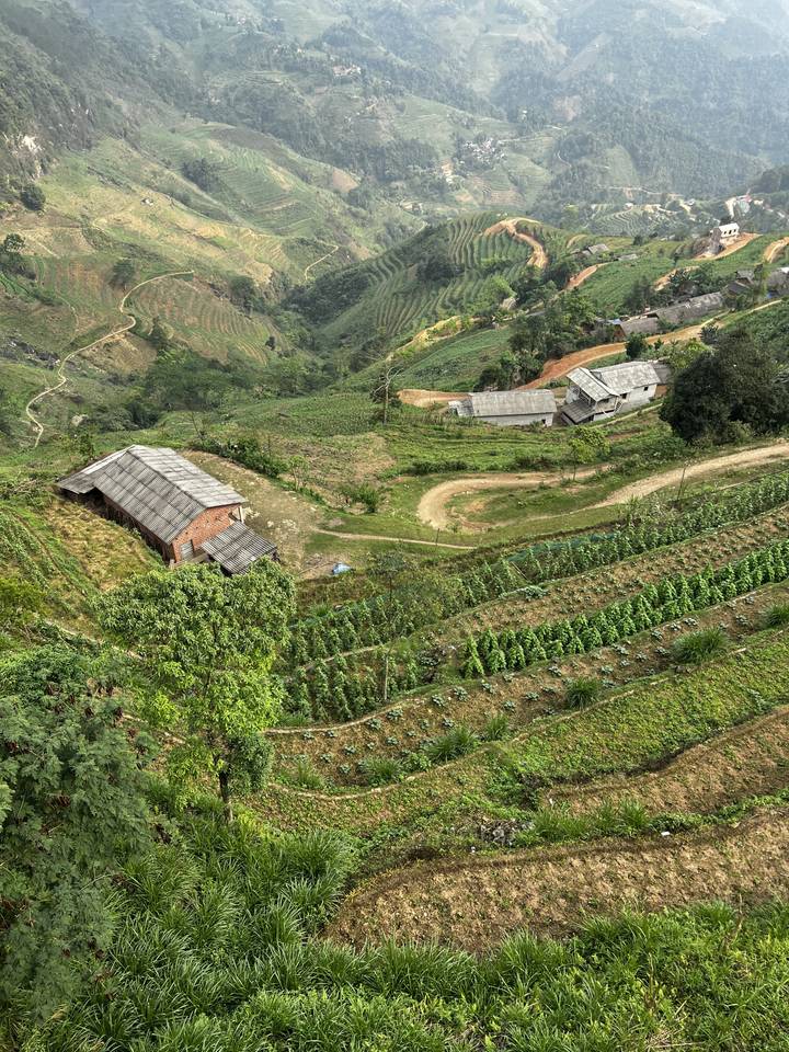 Terraced fields and houses on a steep slope.