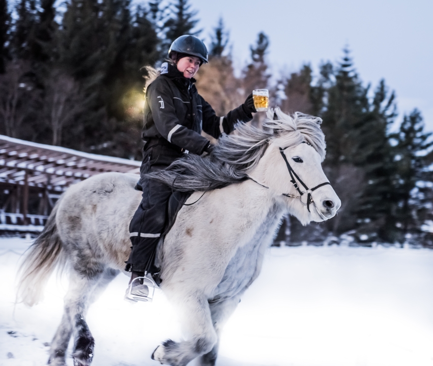 Person on a horse holding a beer in a snowy landscape.