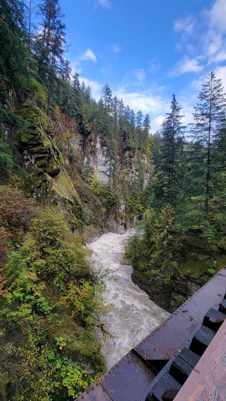 River flowing through a rocky canyon with lush vegetation.