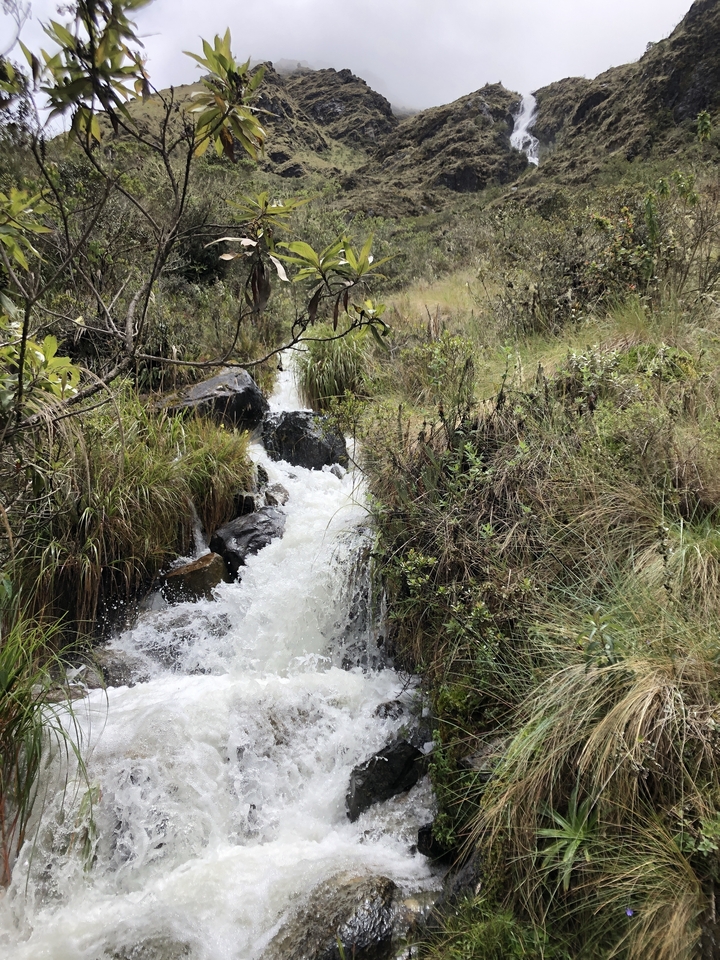 Une petite cascade qui coule à travers une zone herbeuse.