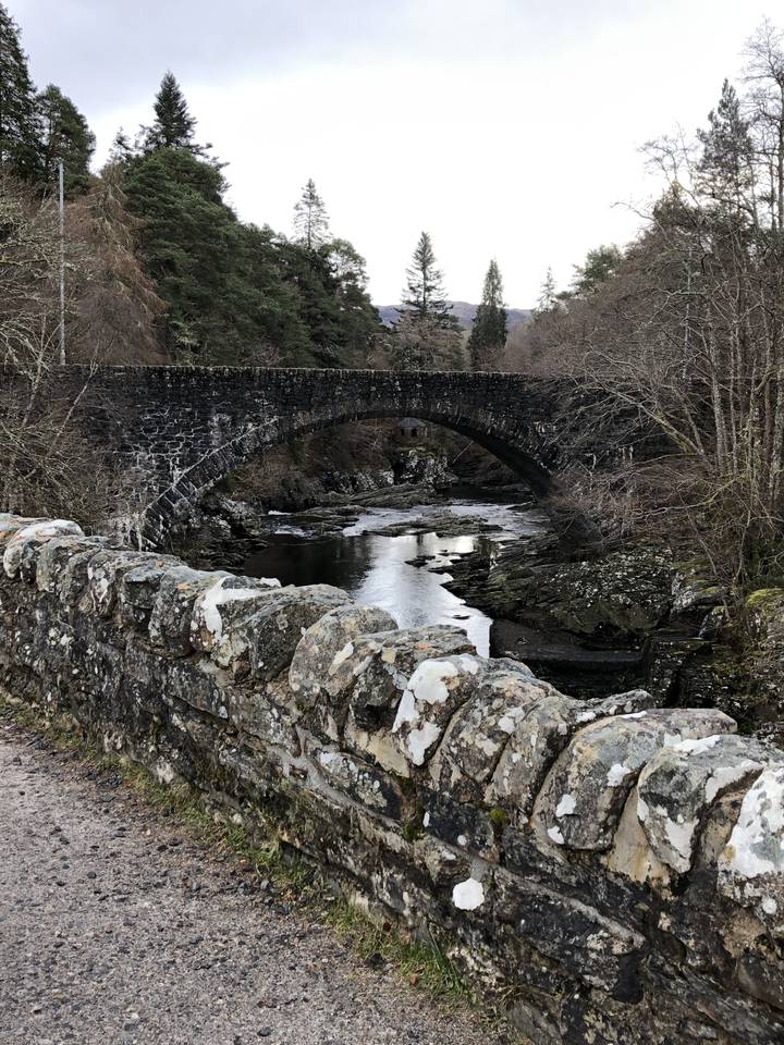 Stone bridge over a river surrounded by trees in a forested area.