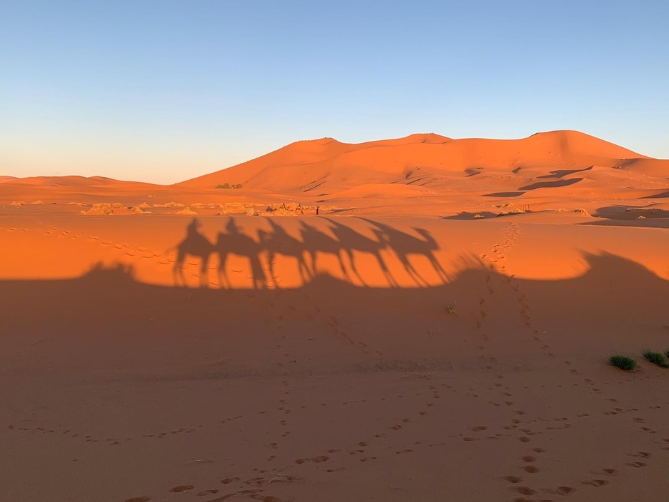 Desert scene with camel shadows on sand dunes.