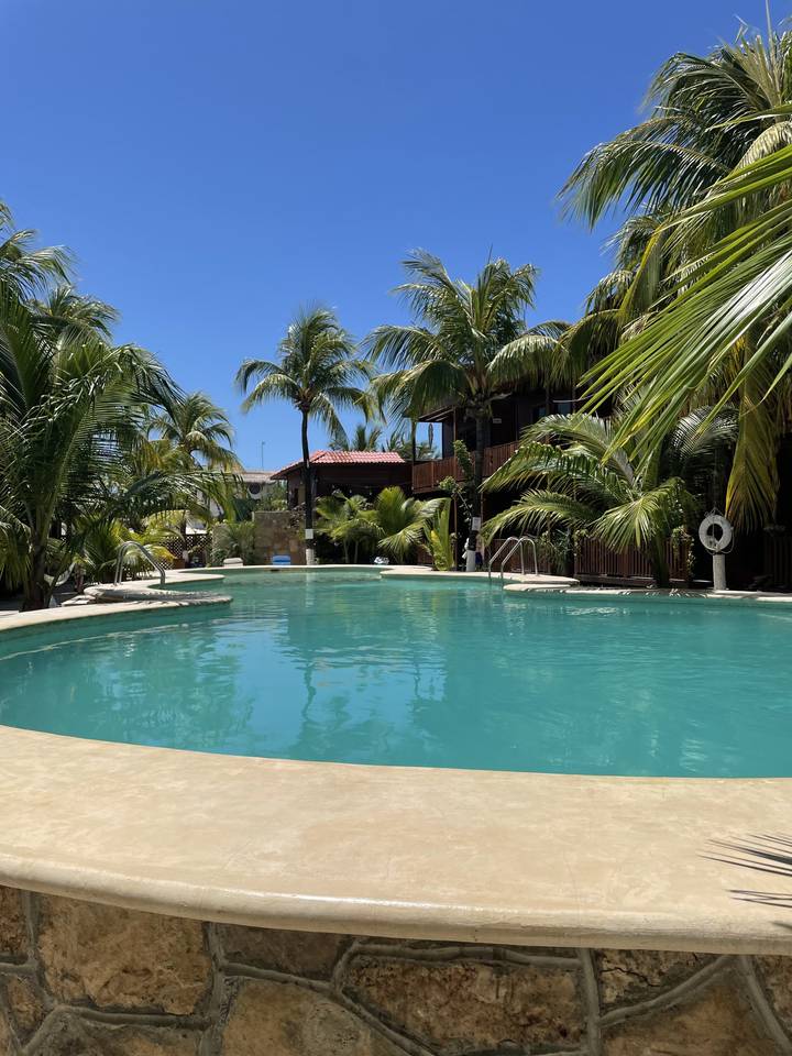 Relaxing pool scene surrounded by palm trees under a clear sky.