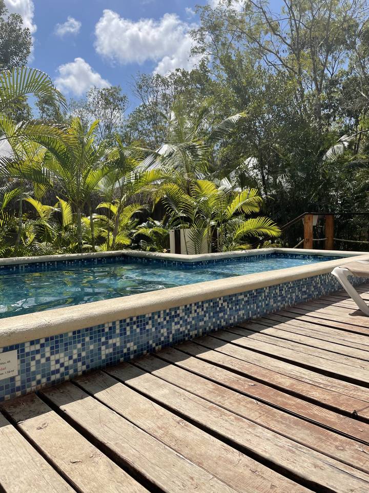 Swimming pool surrounded by lush vegetation and wooden decking.