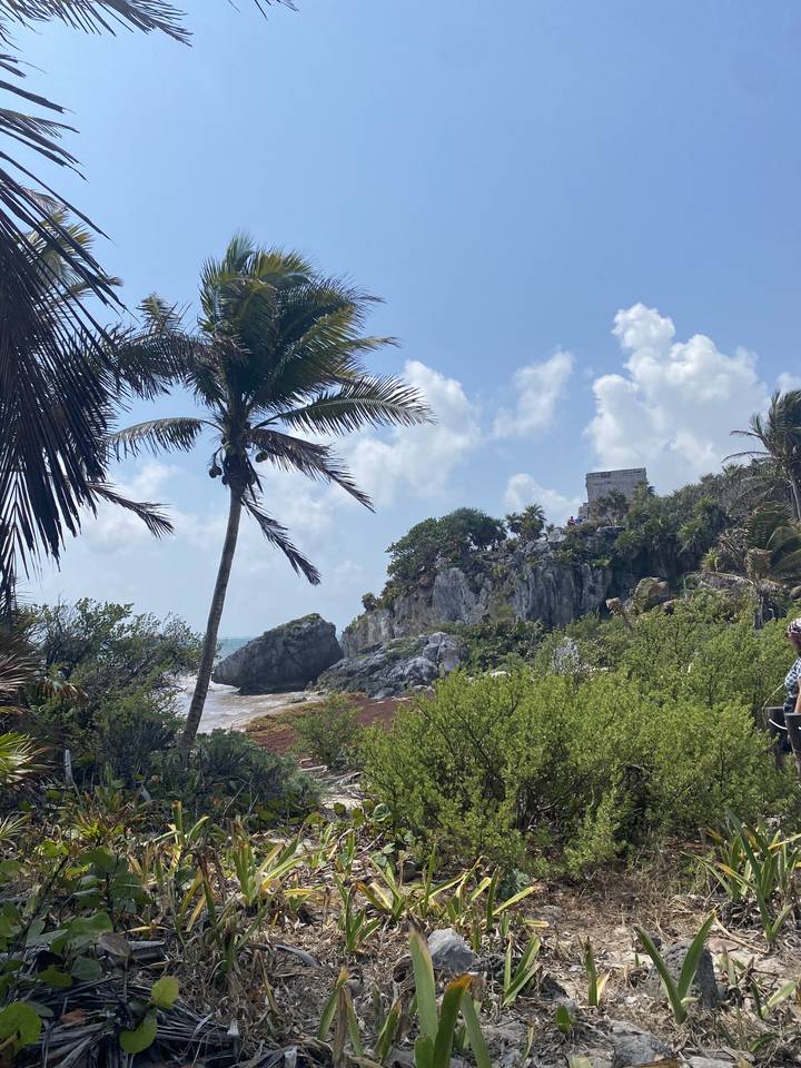 Tropical scenery with a palm tree and a distant Mayan ruin.