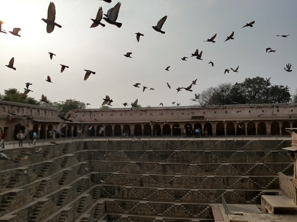Des pigeons volant au-dessus d'une cour de puits à degrés ancien.