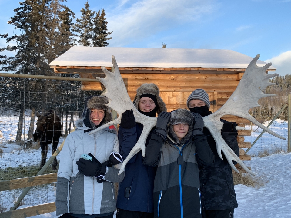 A group of people holding a large set of antlers, with a cabin and moose in the background.