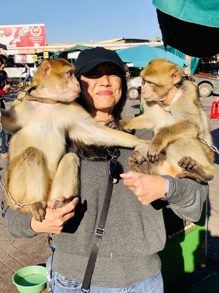 A person holding two monkeys on their arms.