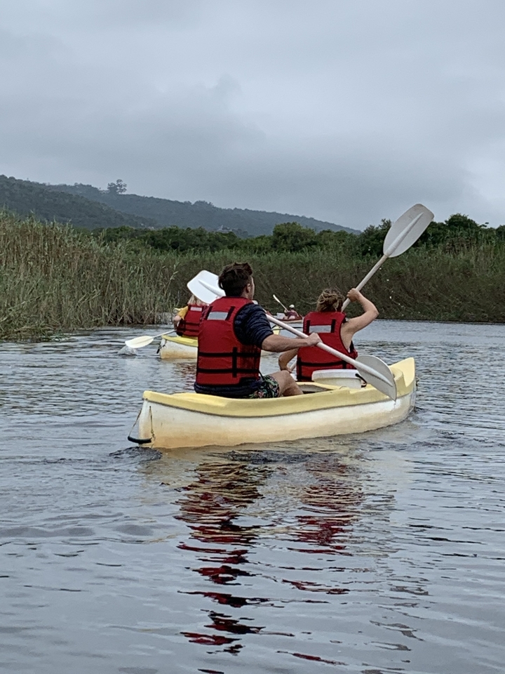 Group kayaking on a calm waterway with surrounding vegetation.