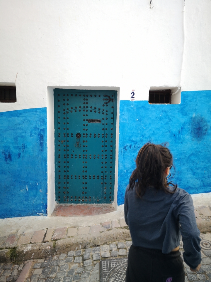 Back of a person standing in front of a decorated door.
