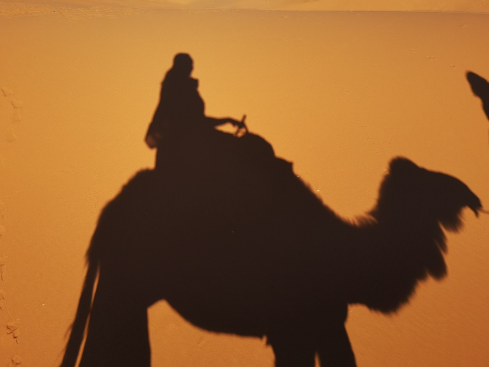 Shadow of a person riding a camel on sand.