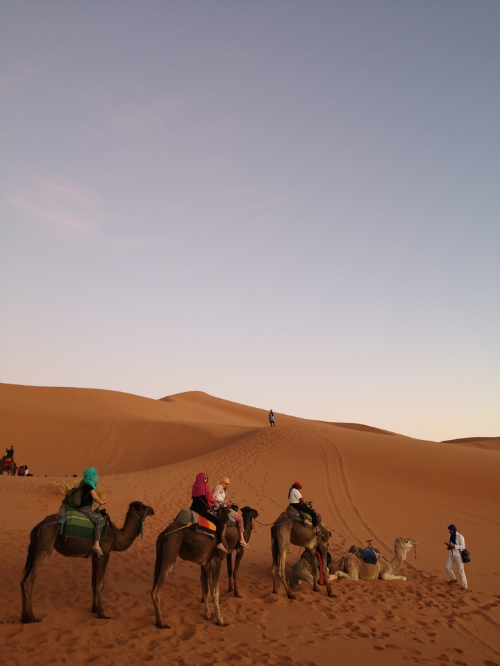 Person standing on a sand dune in the desert.