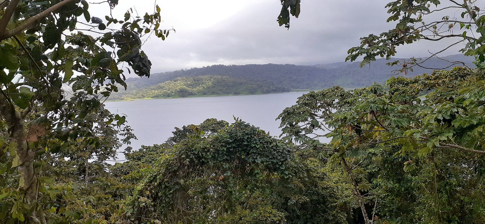Lake view through the forest with mountains in the background.