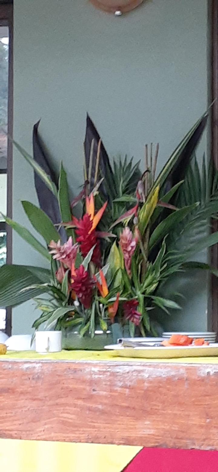 Blurred floral arrangement indoors.