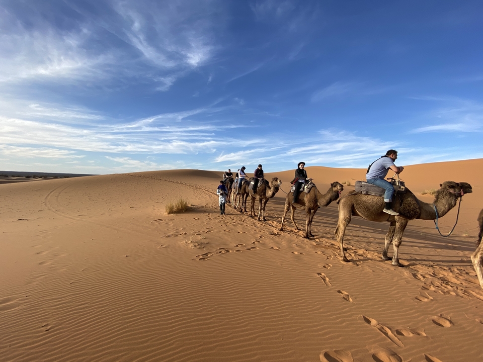 People riding camels across desert dunes.
