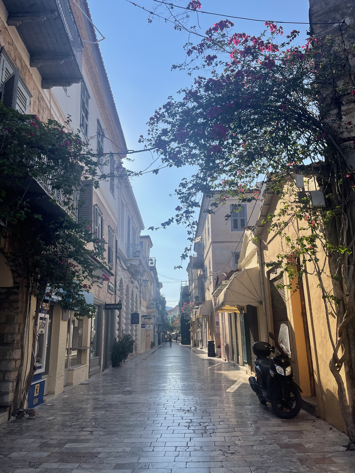 Rue étroite bordée de bâtiments historiques et de décorations florales.