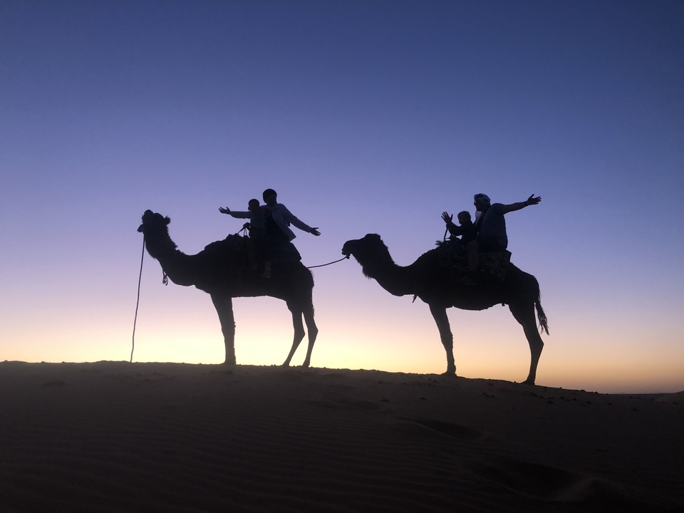 Silhouettes of camels and riders against a sunset sky.
