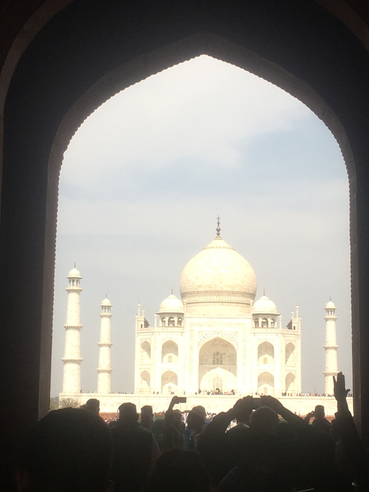 Softly focused framed view of the white marble dome and minarets of the Taj Mahal against pale sky