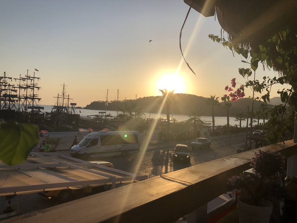 Vue du coucher de soleil sur un port avec des bateaux et des palmiers.