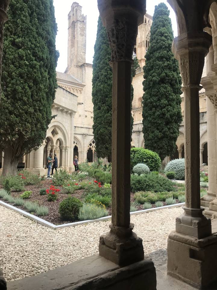 Gardens within an ancient courtyard.