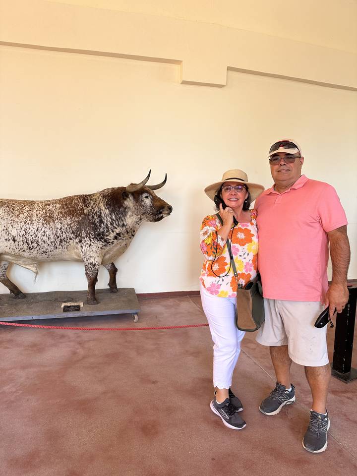 Couple posing with a taxidermy bull.