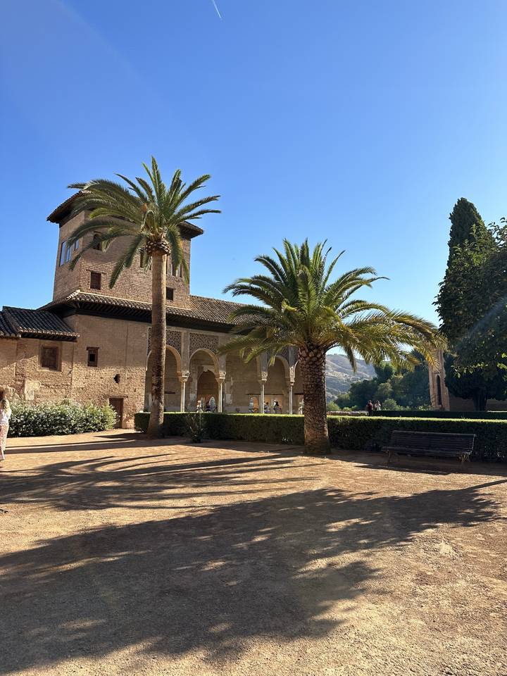 Palm trees lining a historic building walkway.