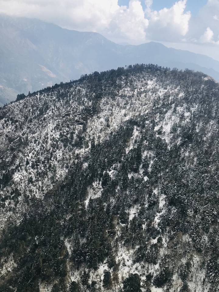 Des pentes de montagne boisées couvertes de neige.
