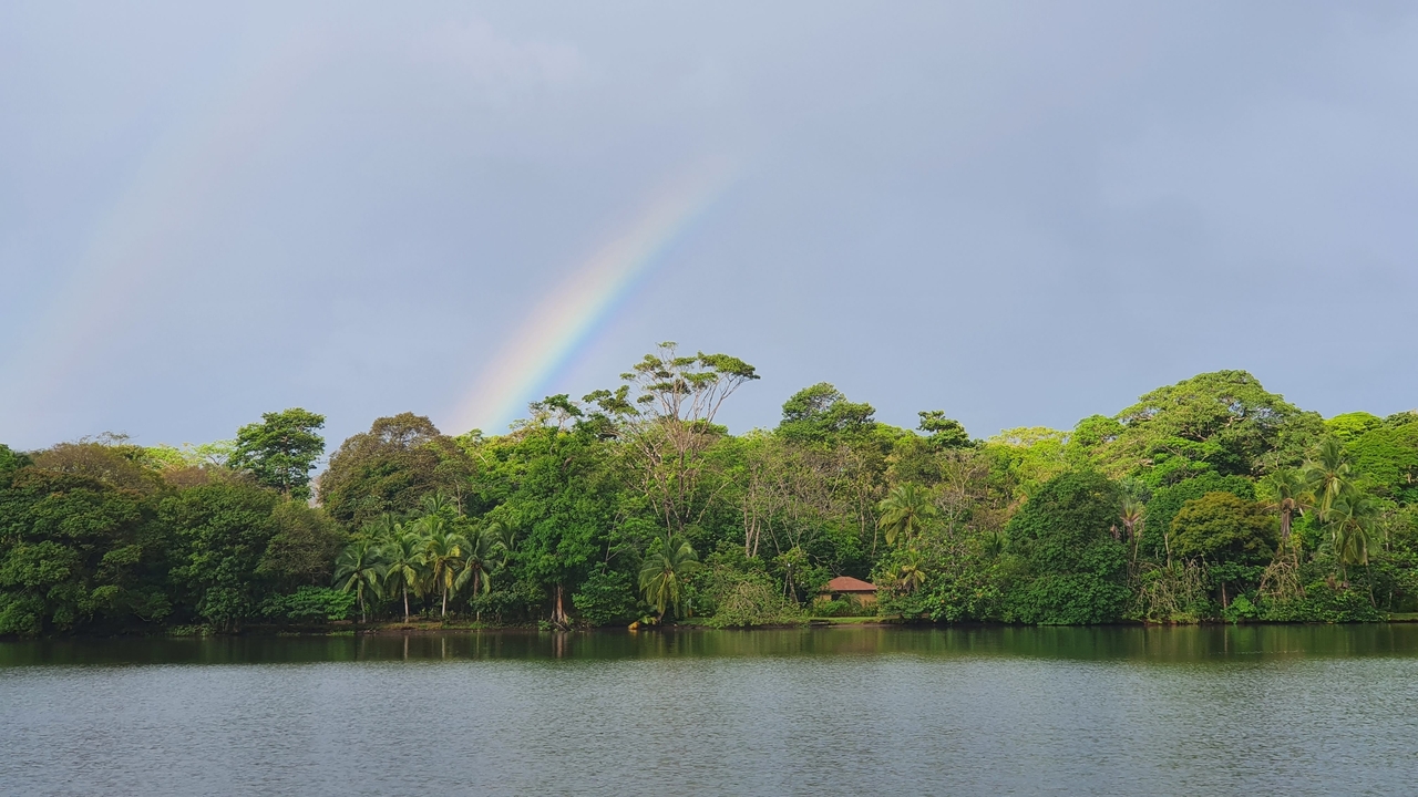 Rainbow over a river and lush green forest.