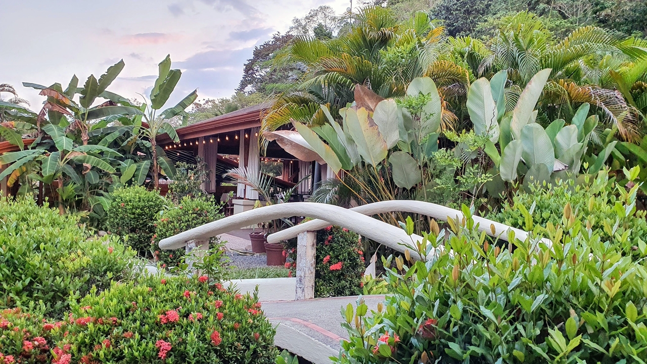 Garden with walkway and tropical plants near a lodge.