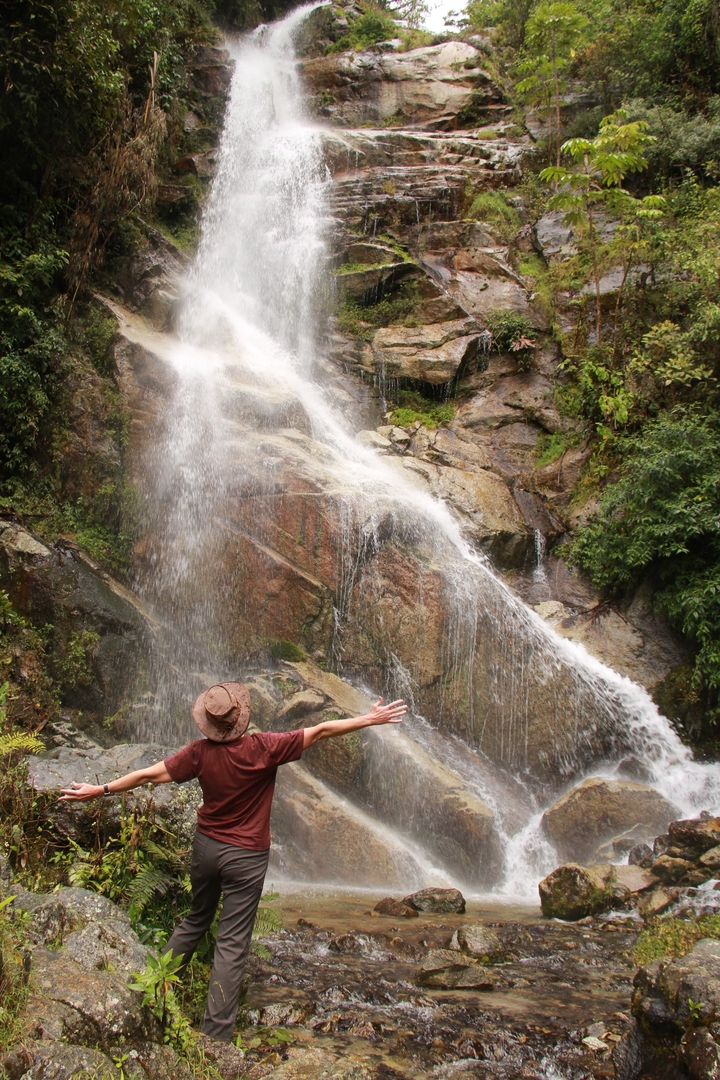 Person enjoying a waterfall in a lush forest.