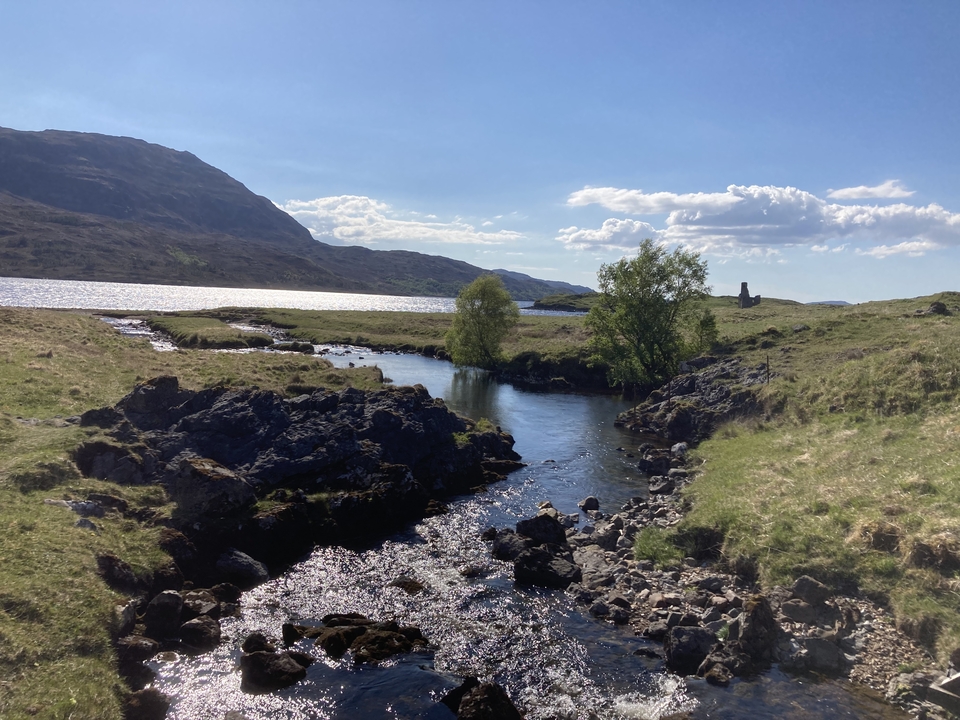 Ruisseau coulant à travers une prairie rocheuse vers un lac.